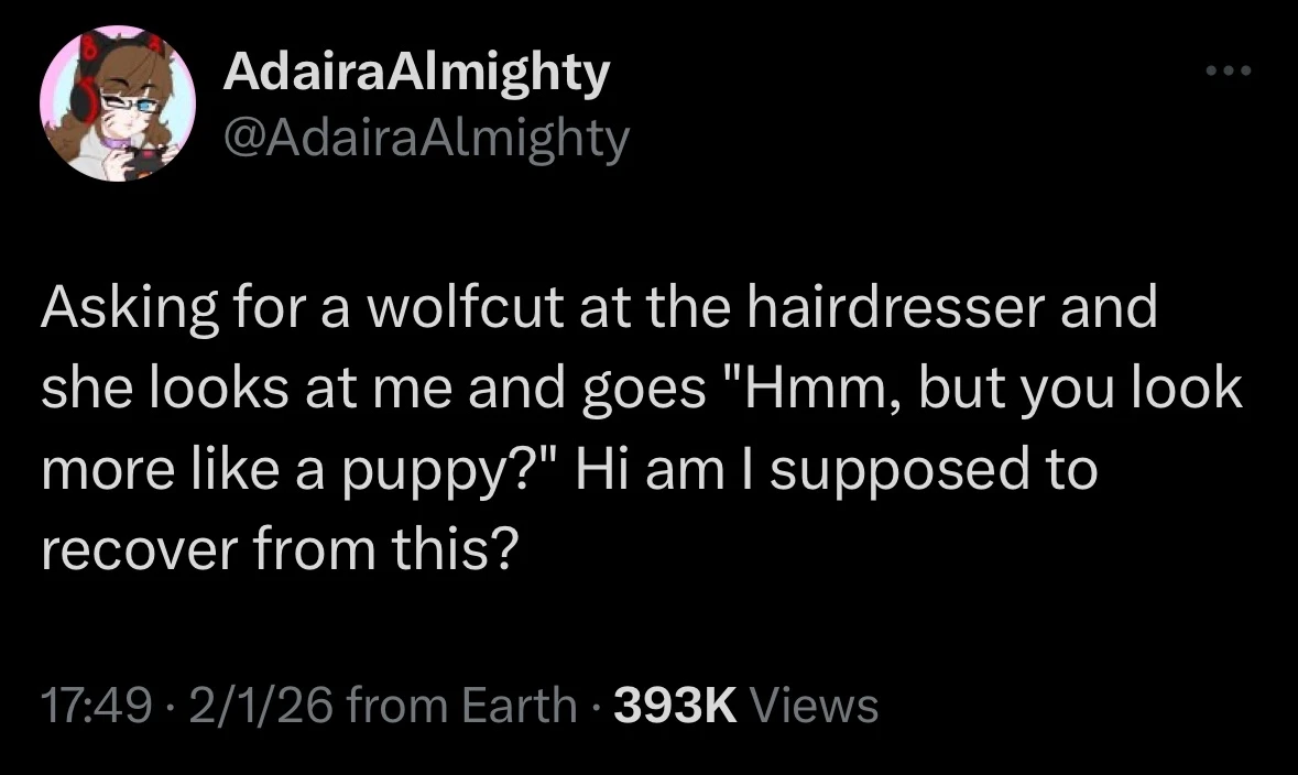 Asking for a wolfcut at the hairdresser and she looks at me and goes "Hmm, but you look more like a puppy?" Hi am I supposed to recover from this?