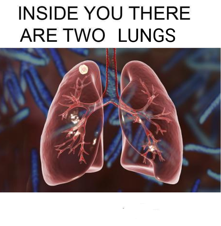 A wise redditor once said in the comments of this post: "One helps you inhale, the other helps you exhale"