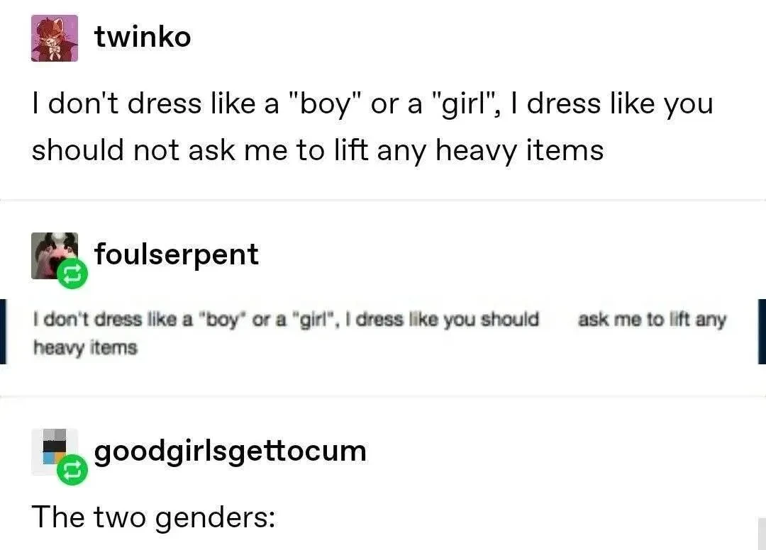 Tumblr post: "I don't dress like a "boy" or a "girl", I dress like you should not ask me to lift any heavy items". Reply: "I don't dress like a "boy" or a 'girl", I dress like you should ask me to lift any heavy items". Reply: "The two genders"