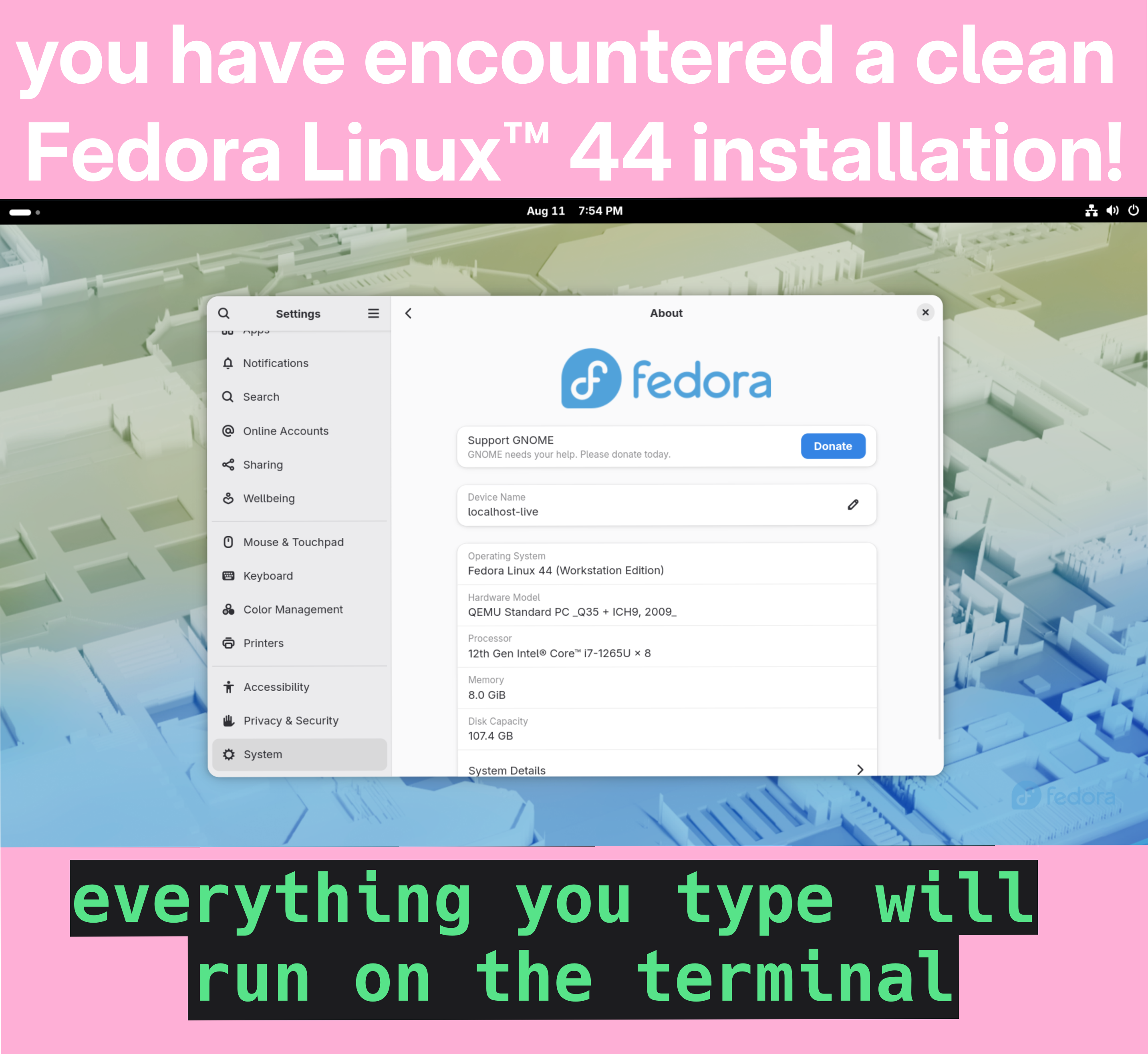 You have encountered a clean fedora linux 44 installation! everything you type will run on the terminal