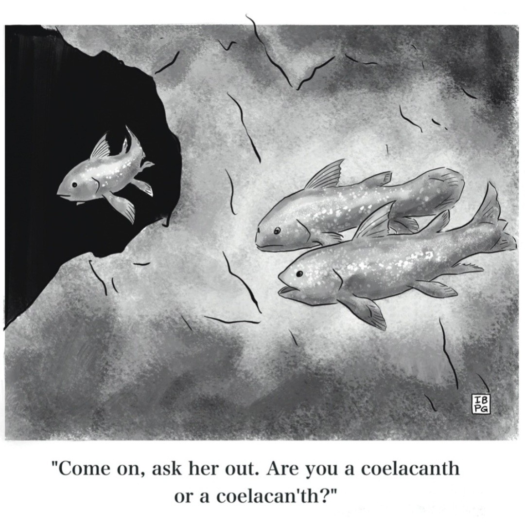 Two fish looking at another one says "ask her out. Are you a coelacanth or a coelacan'th"