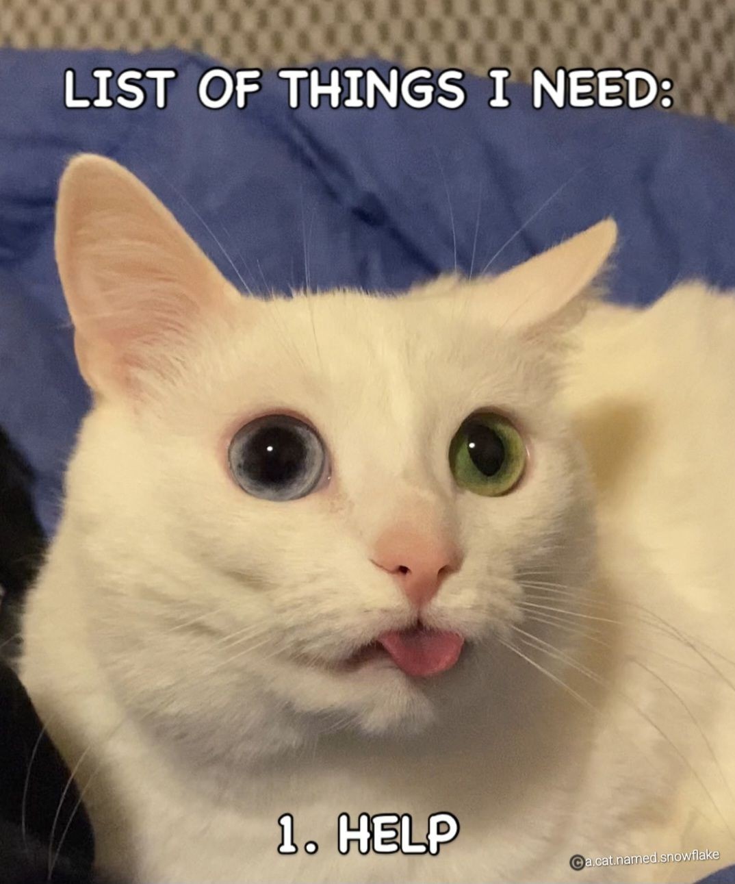 Blep rule