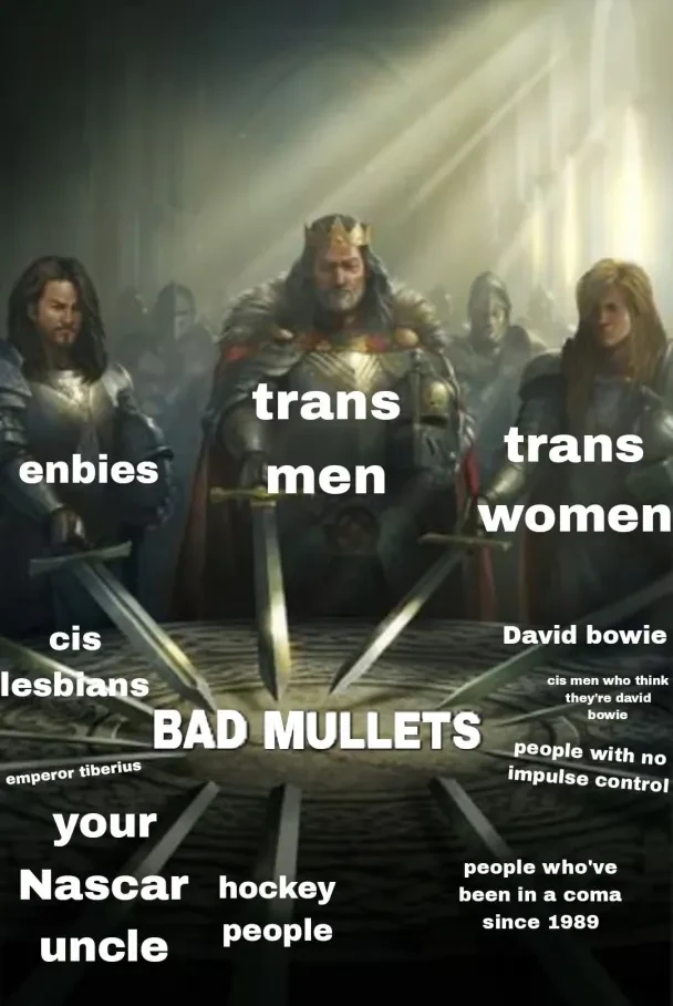 Image of knights holding their swords to a central point. The point is labeled "bad mullets". The swords are labeled "enbies", "trans men", "trans women", "cis lesbian", "David bowie", "cis men who think they're david bowie", "emepror tiberius", "people with no impulse control", "your Nascar uncle", "hockey people", "people who've been in a coma since 1989"