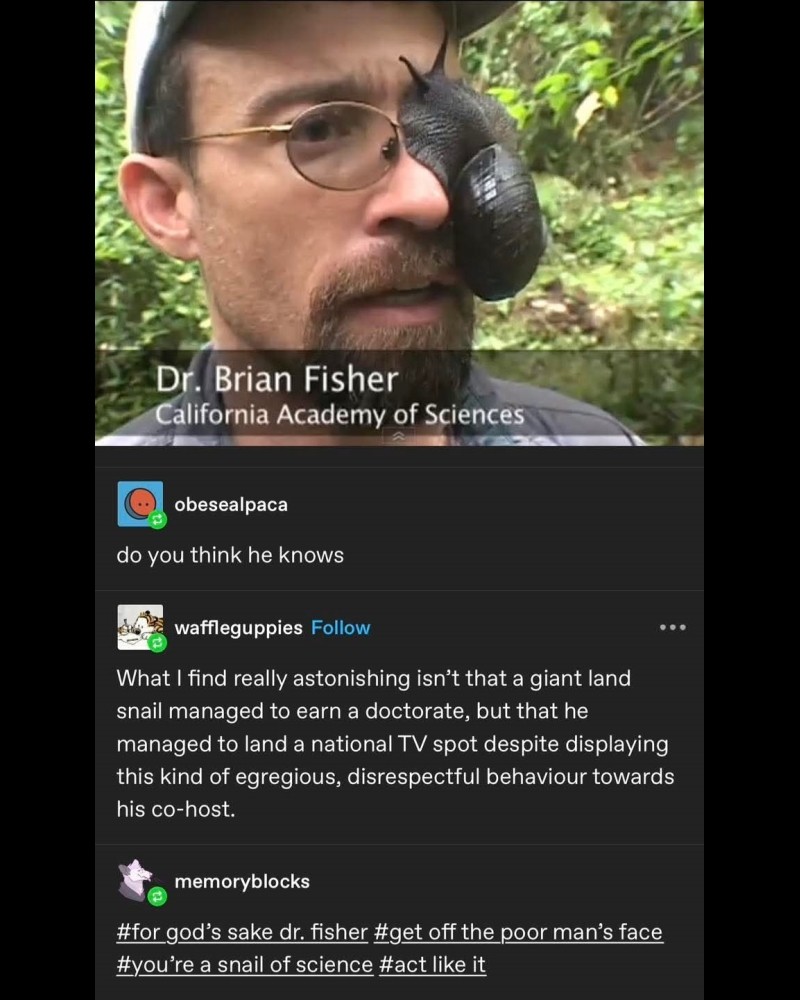 The good doctor