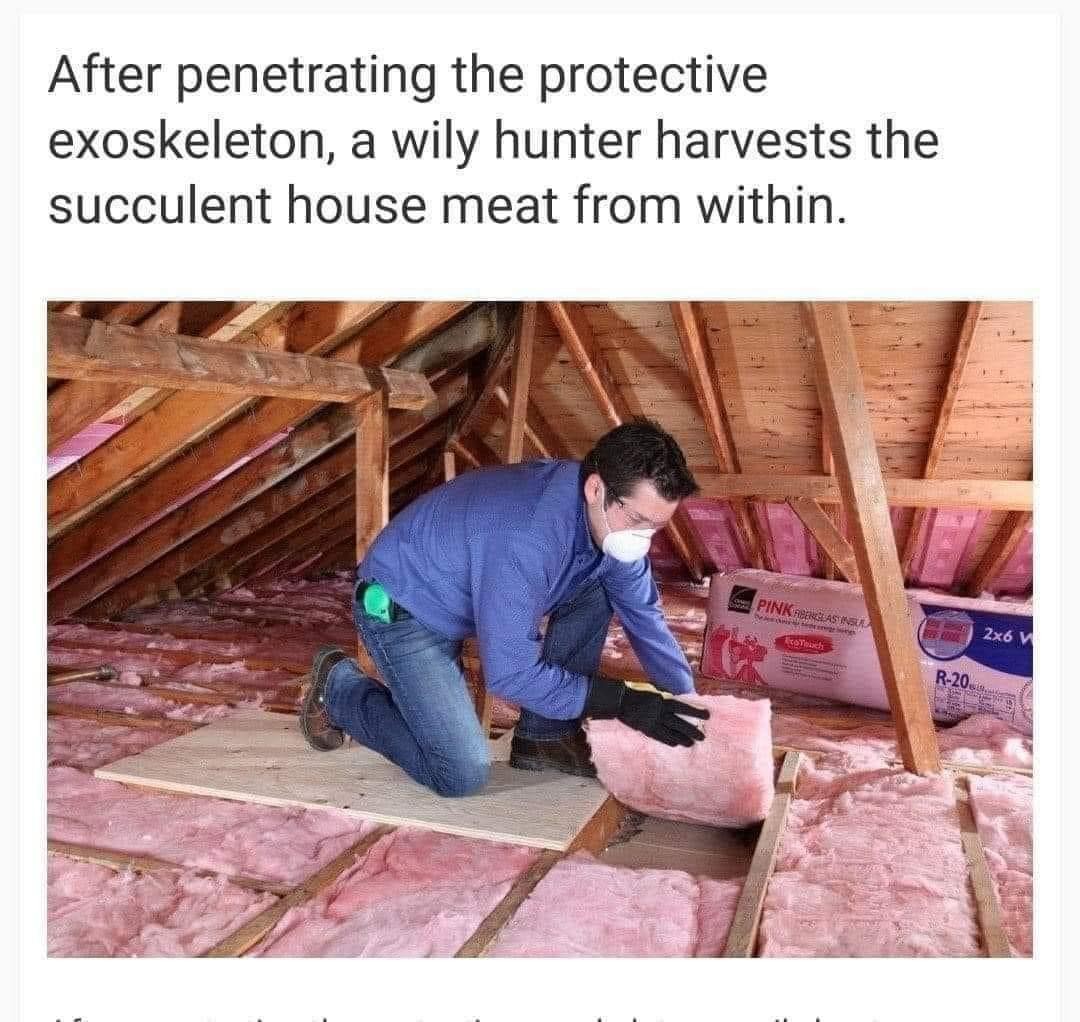 Succulent rule