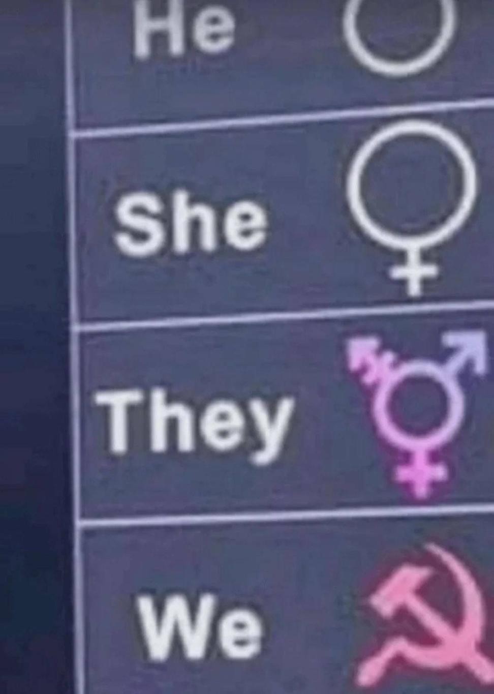 List of pronouns and gender icons. He -> Male; She -> Female; They -> Nonbinary; We - Hammer and sickle