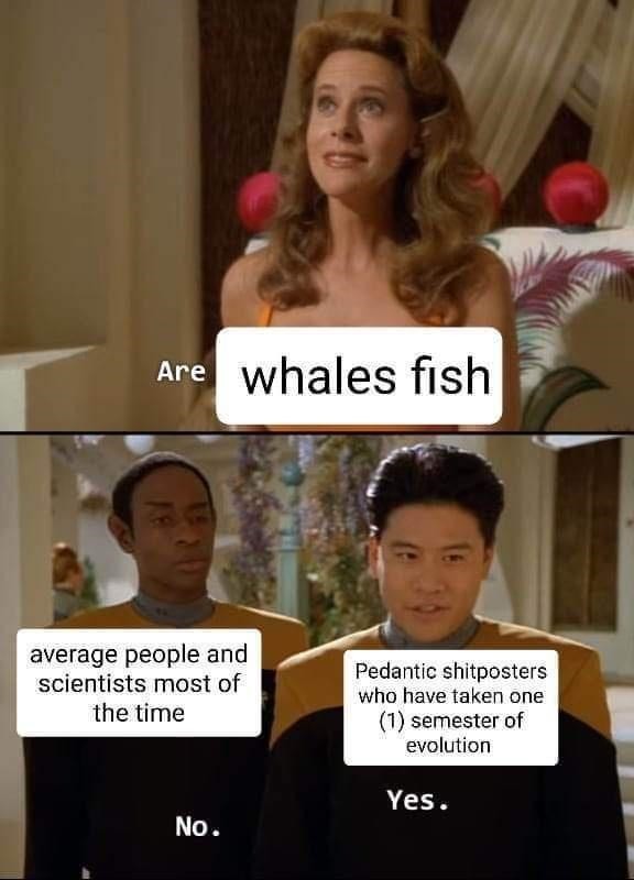 the welsh are fish