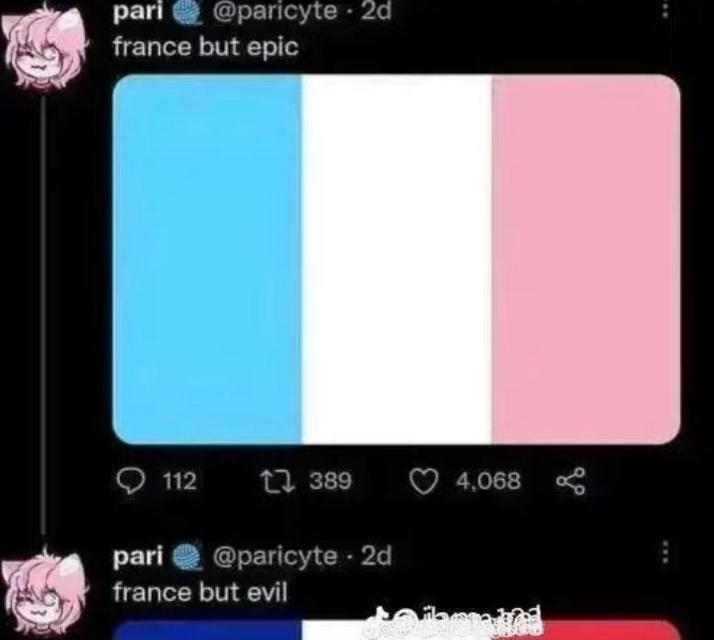 "France but epic" Picture of the French flag in the trans pride colours. "France but evil" Cut off picture of the real French flag