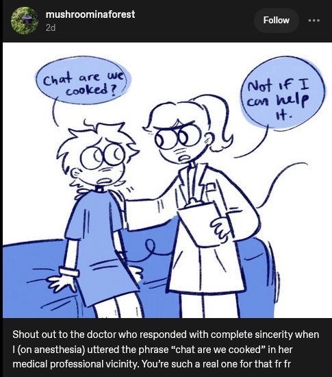 mushroominaforest: “Chat are we cooked?”¹ 👩‍⚕️: “Not if I can help it.” ¶ Shout out to the doctor who responded with complete sincerity when I (on anesthesia) uttered the phrase¹ in her medical professional vicinity. You're such a real one for that frfr