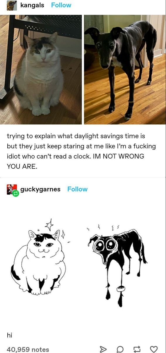 NOT WRONG RULE