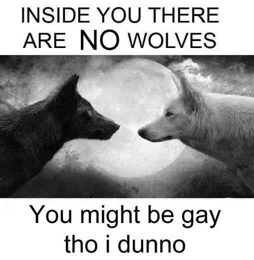 "Inside you there are no wolves". Picture of a black and a white wolf looking at each other. "You might be gay tho i dunno"