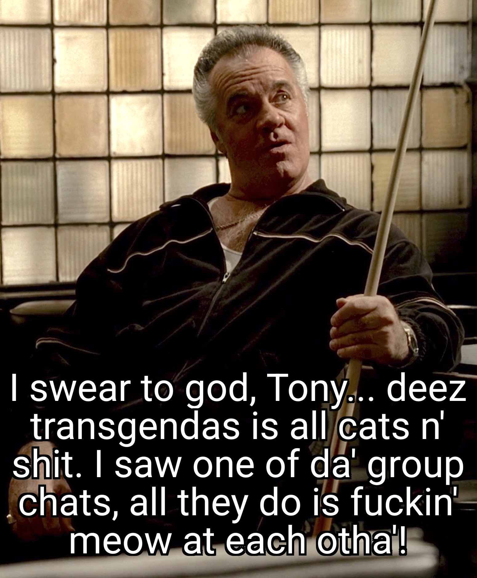 A picture of Paulie from Sopranos sitting on a couch with a pool cue in hand. A text reads: "I swear to god, Tony... deez transgendas is all cats n' shit. I saw one of da' group chats, all they do is fuckin' meow at each otha'!"