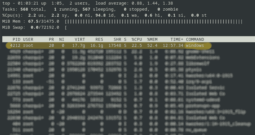 Terminal results of "top" command, highlighting "windows" process using 52.4% of memory.