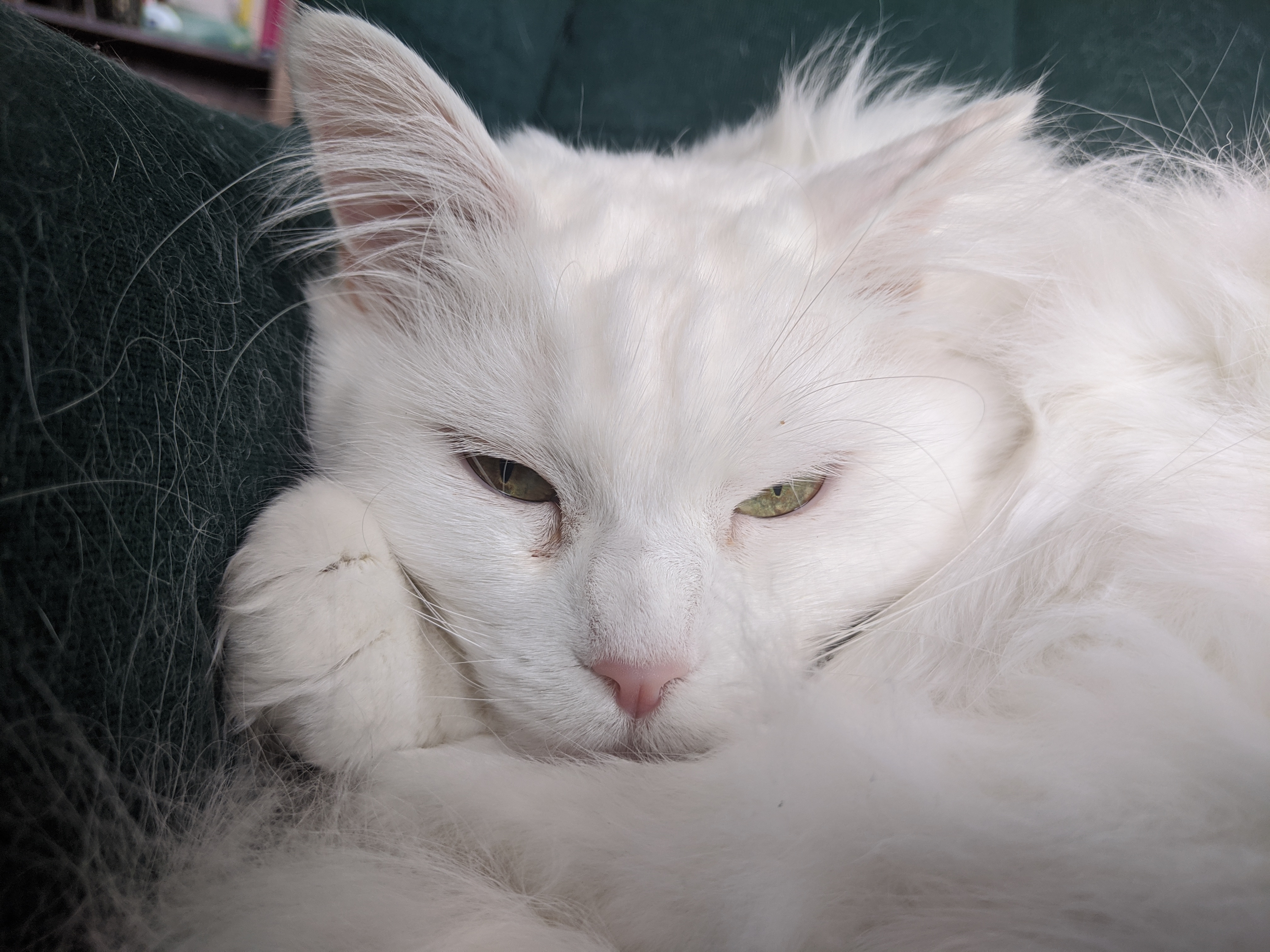 Can you talk to me in the comments so I can act busy on the street? edit: rule